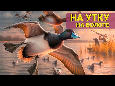 Видео: ОХОТА НА УТОК ОСЕНЬЮ. Много уток на болоте. ОХОТА на вечернем перелете.