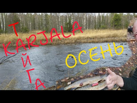 Видео: КАРЕЛЬСКАЯ ЧУДО РЕЧКА!#карелия # речка#рыбалка #fishing #щука#тайга#осень