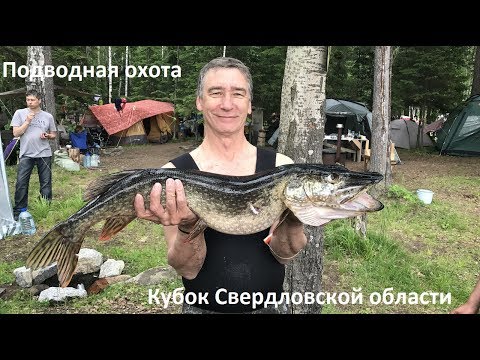 Видео: Подводная охота. Кубок Свердловской области. Scorpena. Батиур.