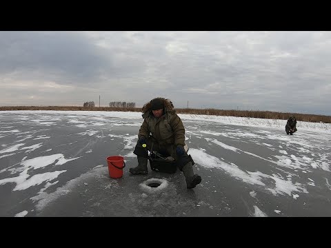 Видео: Крупный Ротан Кабан!!! Рыбалка на Ротана