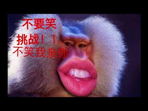 Видео: Чудеса индустрии красоты