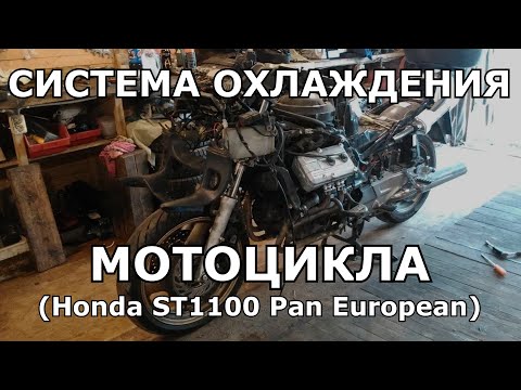 Видео: Замена антифриза и промывка системы охлаждения на мотоцикле Honda ST1100 Pan European