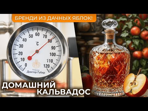 Видео: Яблочный бренди | Рецепт домашнего кальвадоса