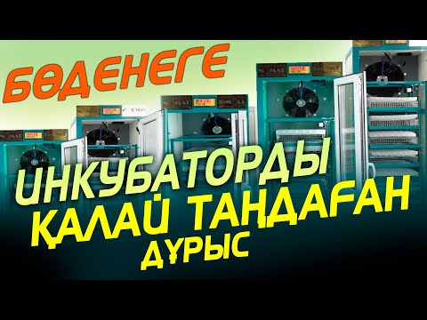 Видео: БӨДЕНЕ ӨСІРУ /// 2-ші БӨЛІМ