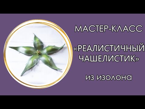 Видео: 🌹РЕАЛИСТИЧНЫЙ ЧАШЕЛИСТИК из изолона (Мастер-Класс 2020)