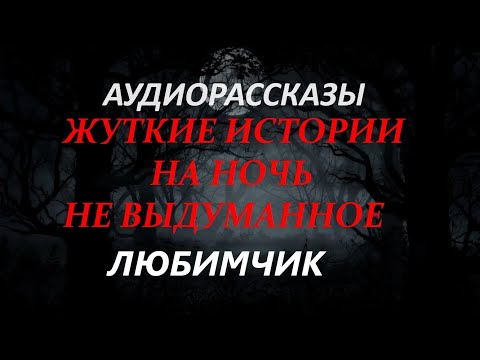 Видео: ЖУТКИЕ ИСТОРИИ НА НОЧЬ-ЛЮБИМЧИК