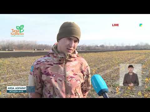 Видео: «АРҚА АҚПАРАТ» | ҚОРЫТЫНДЫ ЖАҢАЛЫҚТАР | 03. 11.2025