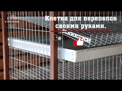 Видео: Клетка для перепелов из сетки и металлического профиля.