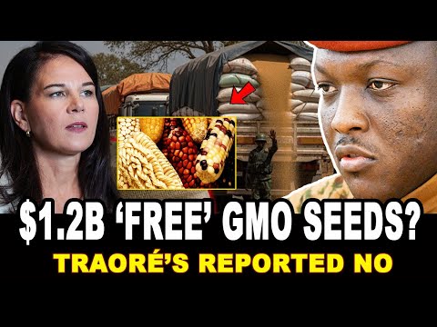 Видео: ГА ООН 2025: Траоре, как сообщается, отвергает «бесплатные семена ГМО» на сумму 1,2 млрд долларов...