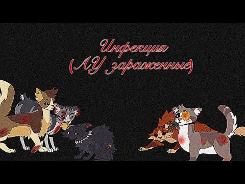 Видео: Пони вирус в котах воителях // АУ зараженные, инфекция