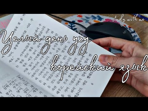 Видео: 24 часа УЧУ КОРЕЙСКИЙ / Знакомлюсь с Корейцами / Школа САН / study vlog