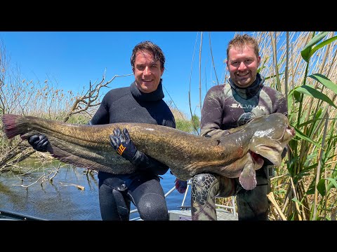 Видео: Взяли Монстра. Подводная Охота. Новый Рекорд