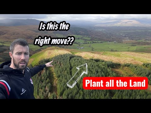 Видео: Правильное ли это решение? Деревья повсюду на наших полях? #ферма #ирландия #леса #фермерство #ле...
