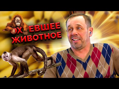 Видео: СТРЕССОУСТОЙЧИВЫЙ И БЕЗНАДЁЖНЫЙ ЗВОНАРЬ! | БАНКРОТСТВО | Кузнецов | Аллиам