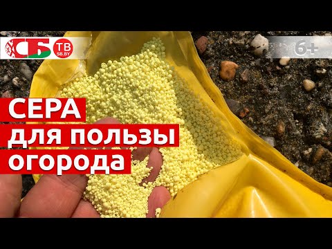 Видео: Как применять серу для пользы огорода