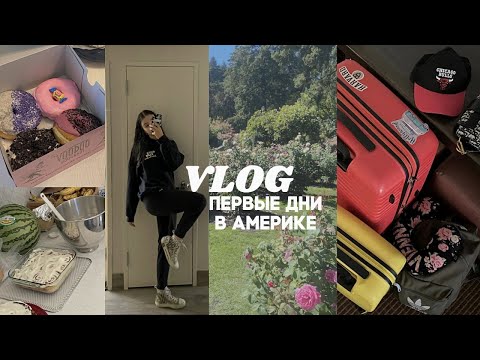 Видео: US VLOG || мой переезд в США и адаптация