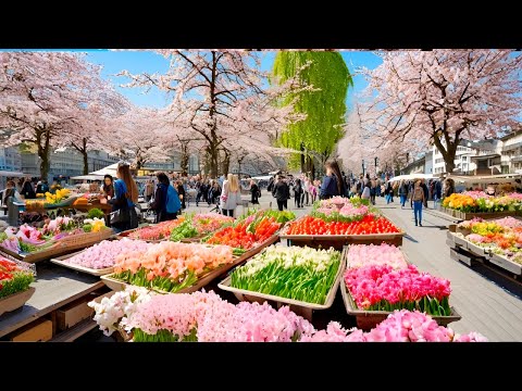 Видео: В ЦЮРИХЕ, ШВЕЙЦАРИЯ, ПРИШЛА ВЕСНА_ ВПЕЧАТЛЯЮЩИЙ УТРЕННИЙ РЫНОК🇨🇭