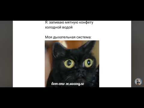 Видео: МЕМЫ#4 