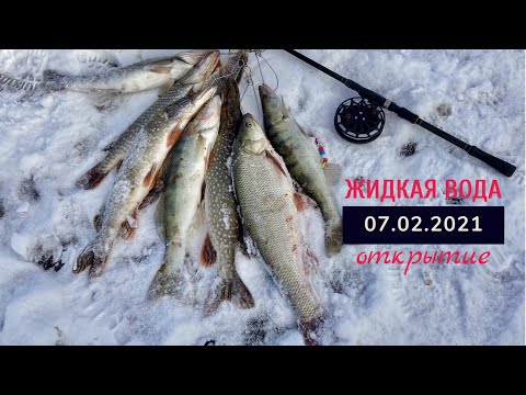 Видео: Рыбалка с инерционной катушкой. Открываем сезон 2021!