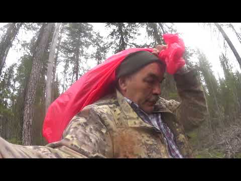 Видео: Опять в избушку. Ночь у костра. 09.05.21 г.