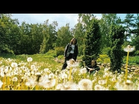 Видео: Летняя оборона - Плейлист