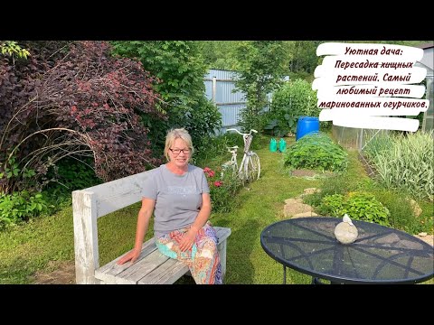 Видео:  Уютная дача: Пересадка хищных растений. Самый любимый рецепт маринованных огурчиков.