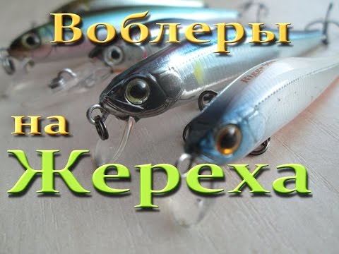 Видео: Воблеры на Жереха . Обзор