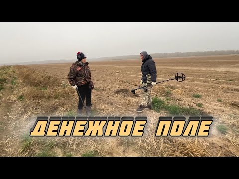 Видео: Денежное поле! Или как наткнуться на не выбитое место!