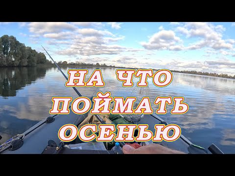 Видео: На что поймать Осенью, Когда совсем не клюёт!