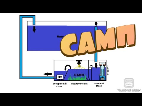 Видео: САМП для аквариума.