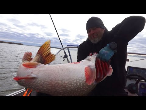 Видео: НЕВЕРОЯТНО! САМЫЙ БОЛЬШИЙ ЩУКИ С МИРЕ ТУТ! ОЧЕНЬ ТРОФЕЙНАЯ РЫБАЛКА ЕВГЕНИЯ!