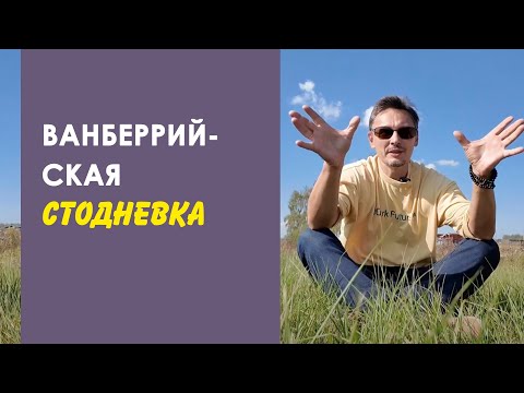 Видео: Стодневка - поехали!