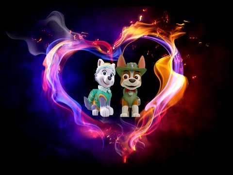 Видео: 💖Эверест и Трекер💖