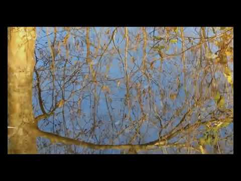 Видео: Армейская - Напиши мне (cover)