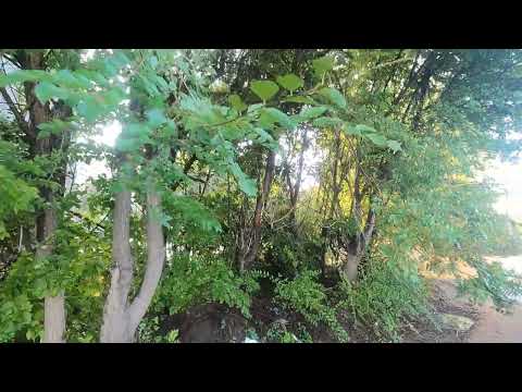 Видео: Велопокатушки по Рубцовску №90.😊