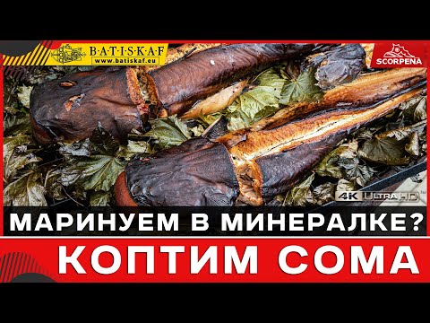 Видео: Коптим крупных сомов маринуя их в минералке.Рецепт приготовления.
