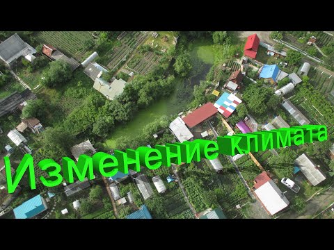 Видео: Профессор Кашковский про изменение земного климата