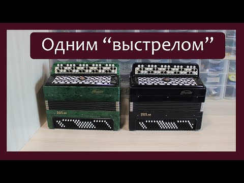 Видео: Трудовые будни / Ремонт Баянов "Этюд - 205м"