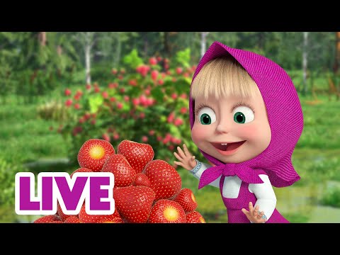 Видео: 🔴 ПРЯМОЙ ЭФИР! LIVE Маша и Медведь 👱‍♀️🐻 Вкусновато, но маловато! 🍭 🍒