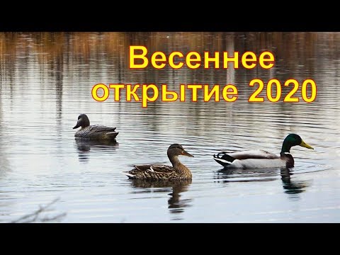 Видео: Весеннее открытие 2020 года