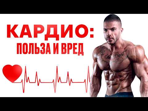 Видео: Что такое кардио и для чего это нужно: правильная кардиотренировка + обзор тренажеров