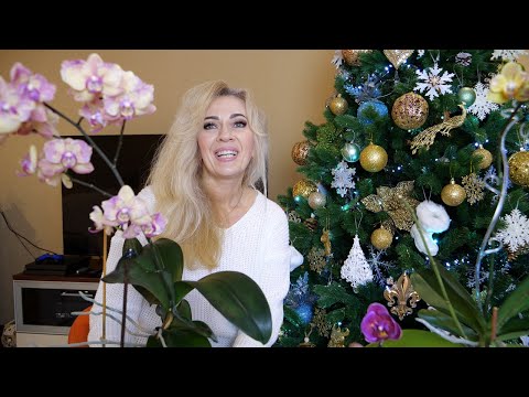 Видео: НЕ стандартами едиными. ОНИ тоже у меня есть. Орхидеи с мутациями.