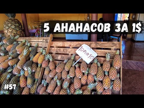 Видео: Страусы и пожары. На велосипеде по Бразилии #57