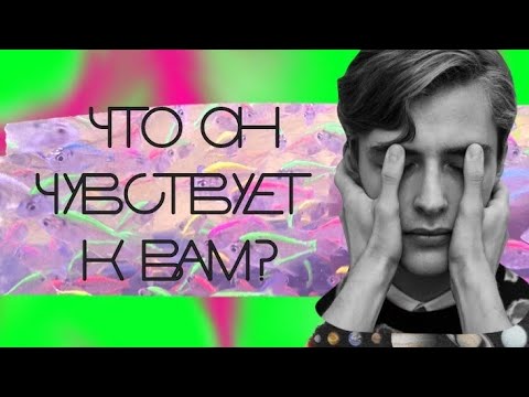 Видео: Его истинное отношение к Вам