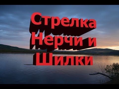 Видео: Стрелка Нерчи и Шилки