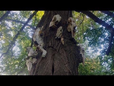 Видео: Большая заброшенная деревня. Люди ушли совсем недавно