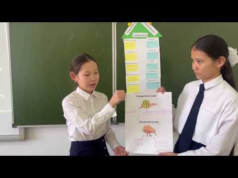 Видео: “Омыртқасыз және омыртқалы жануарлардың сыртқы құрылысының ерекшеліктері”