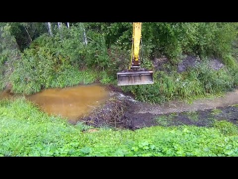 Видео: Сносим целый каскад плотин бобров