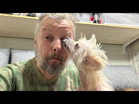 Видео: Как выживают бедные приюты в Челябинске? / Расцелованная Айка отправляется домой?!