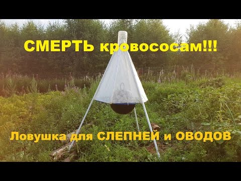 Видео: Ловушка для слепней и оводов